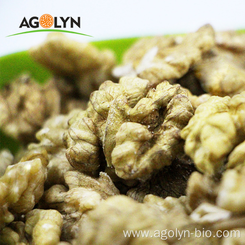 wholesale Dried Style walnut kernels 185